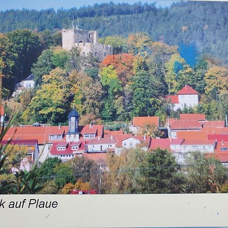 Ferienwohnung Burgblick Plaue  Dış mekan fotoğraf